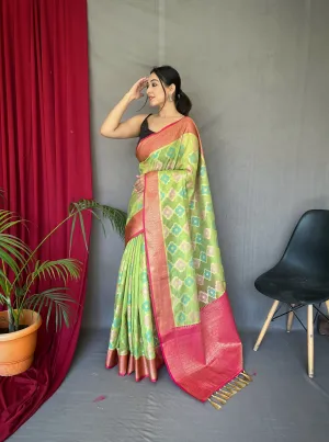 Green Saree in Organza