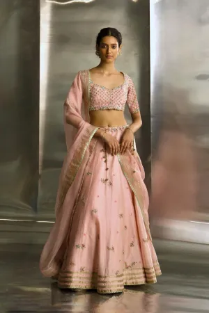 Light Pink Embroidered Lehenga